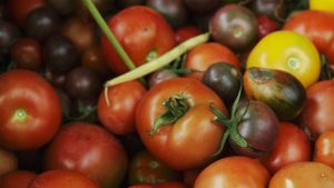 ÅS Skördemarknad 4 Web