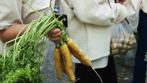 ÅS Skördemarknad 8 Web